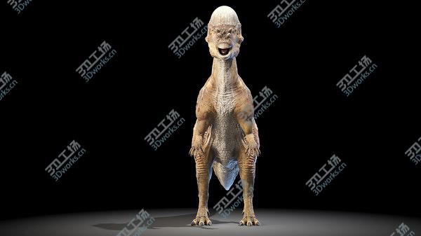 images/goods_img/20210312/Pachycephalosaurus model/4.jpg